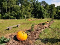 26-28 июля, 2013 года. АРХСТОЯНИЕ 2013. ВЫХОД ИЗ ЛЕСА. Никола-Ленивец, Россия.