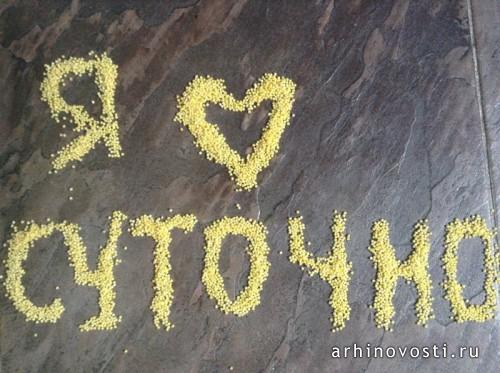 Я люблю Суточно