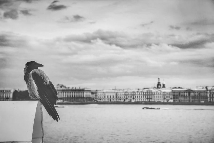 Плюснина Алиса, 11 лет