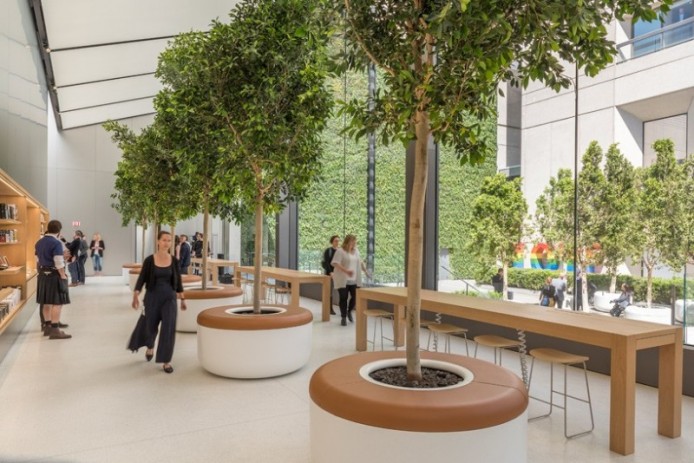 Яблоко от яблони: магазин Apple от Foster + Partners, Сан-Франциско, США.